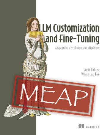 LLM Customization and Fine-Tuning